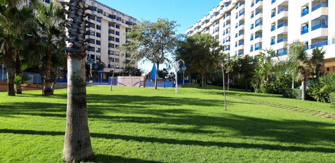 Appartement Patacona Mare Nostrum Ii *