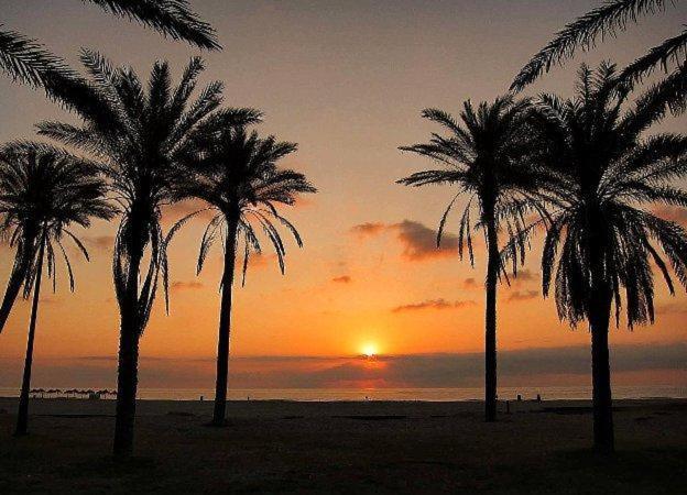 Appartement Patacona Mare Nostrum Ii *